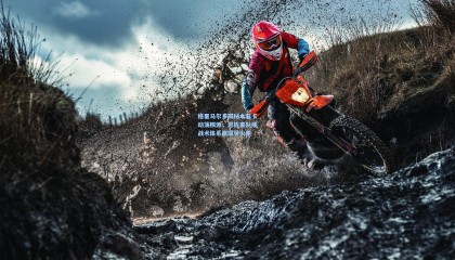 格里马尔多揭秘本菲卡动荡根源，恩佐离队成战术体系崩塌导火索