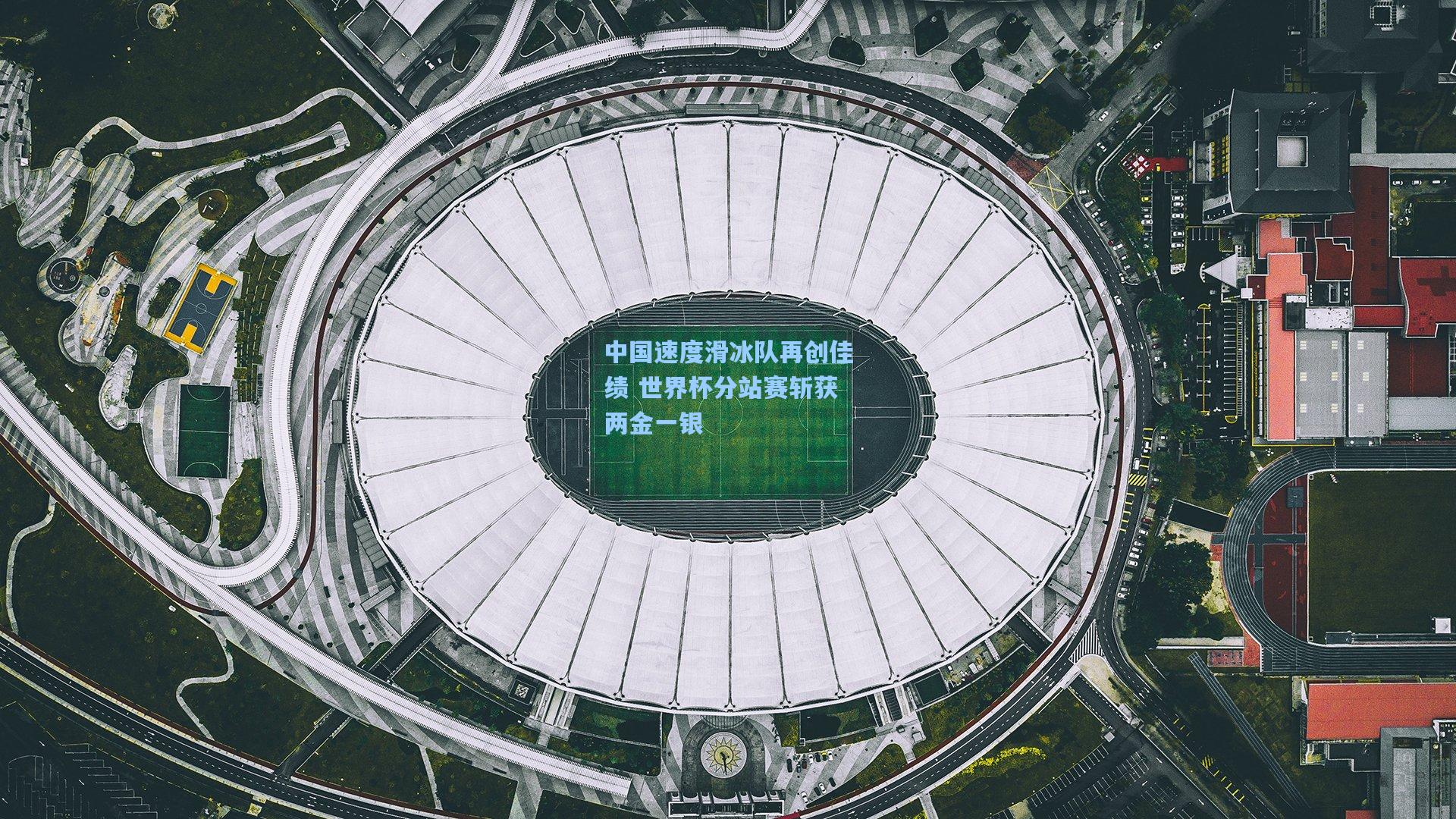 中国速度滑冰队再创佳绩 世界杯分站赛斩获两金一银
