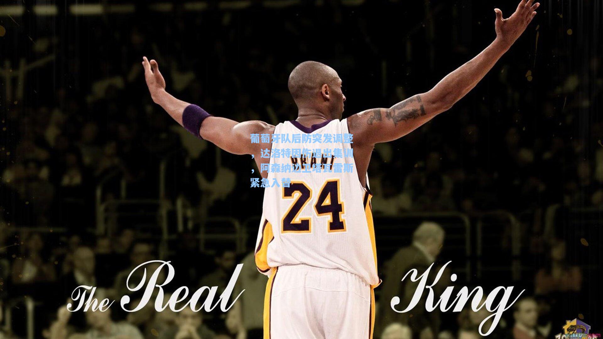 葡萄牙队后防突发调整，达洛特因伤退出集训，阿森纳边卫塔瓦雷斯紧急入替