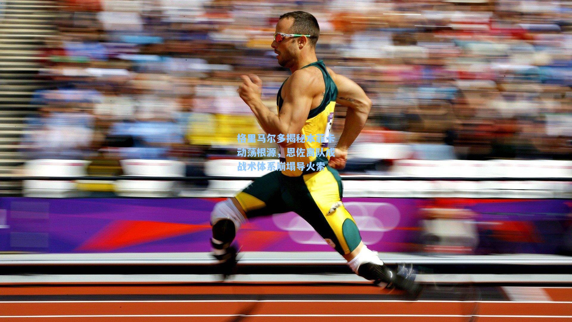 格里马尔多揭秘本菲卡动荡根源，恩佐离队成战术体系崩塌导火索